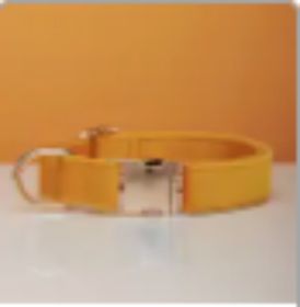 Multiple Colour Velvet Personalise Dog Collar Leash Set With Bow (Option: Yellow-S)